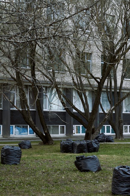In the foreground of the image, several black garbage bags made of plastic are scattered across a grassy area, some positioned upright while others are leaning or lying on their sides. The grass appears sparse and has a dull green tone, consistent with an overcast day. Behind the bags, there is a row of leafless trees with dark, textured bark, their branches extending horizontally and vertically, partially obscuring a multi-storey residential building. The building's lower level features large windows with white frames, and the exterior wall surfaces are a mix of black and white panels, with some sections appearing weathered or aged. The upper levels are constructed with brick or similar materials, with visible window panes and frames. The overall lighting is soft and diffuse, typical of an overcast sky, emphasizing the contrast between the dark rubbish bags, the bare trees, and the building’s muted tones. This scene appears to depict an outdoor space prepared for waste collection or a private rubbish removal process, aligning with services such as those offered by Rubbish Removal Harrow in managing waste disposal efficiently and responsibly.