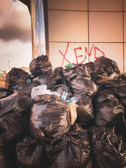 The image depicts a residential area during daytime with several black plastic rubbish bags placed on the grass in front of a multi-story building. The building has a modern exterior with white brick walls and large windows, some of which have curtains or blinds. In the foreground, there are four or five rubbish bags positioned unevenly across the lawn, suggesting a collection or disposal process outside the property. Surrounding the bags are leafless trees with numerous branches, indicating the season is likely late autumn or winter, as the branches are bare and the ground is covered with sparse grass. The scene is illuminated by natural daylight, providing clear visibility of the various elements in the image. This type of outdoor rubbish collection approach is relevant to private waste removal services, such as those offered by Rubbish Removal Harrow, which specialise in on-site clearance and alternative waste handling methods away from standard council collection. The overall setting illustrates a typical example of organised waste disposal in a residential environment, with a focus on infrequently collected rubbish awaiting retrieval or processing.
