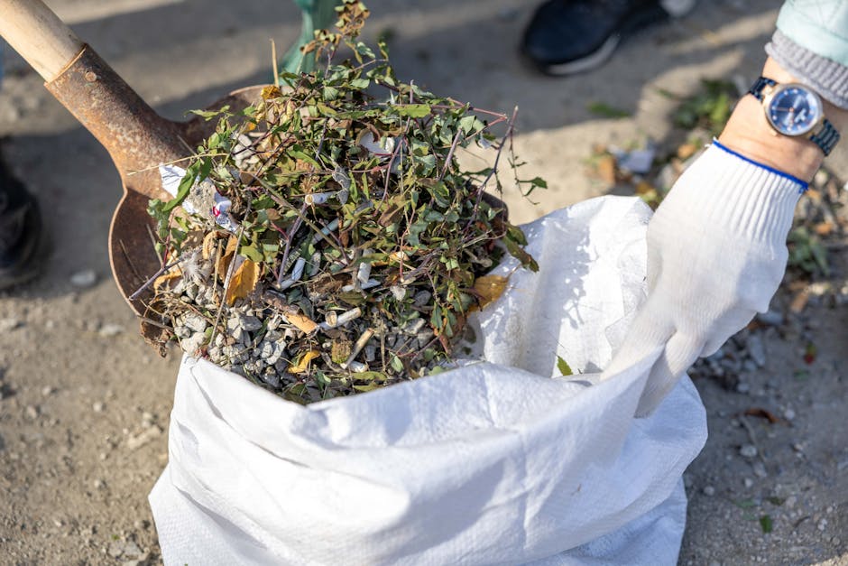A person wearing a light-colored glove with blue trim and a wristwatch is holding open a large white polypropylene sack filled with a mixture of tangled green foliage, small twigs, and bits of gravel or crushed stone. The foliage appears to include ivy-like plants with small, pointed leaves, some dried or withered. In the background, a rusty metal spade with a wooden handle is partially visible, positioned against the contents of the bag. The setting appears to be outdoors on a paved or gravel surface, with natural daylight illuminating the scene and casting soft shadows. The scene depicts a typical process of garden waste collection, illustrating how green waste and debris might be prepared for disposal or removal through private waste management services such as Rubbish Removal Harrow, in contrast to council-managed bulky waste collection. The overall composition emphasizes practical handling of garden refuse, aligning with the context of alternative waste handling and rubbish removal services available for domestic or commercial properties.